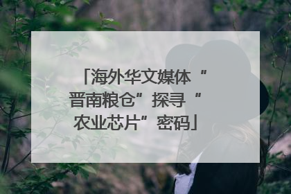 海外华文媒体“晋南粮仓”探寻“农业芯片”密码