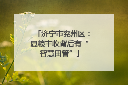 济宁市兖州区：夏粮丰收背后有“智慧田管”