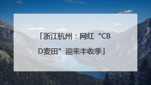 浙江杭州：网红“CBD麦田”迎来丰收季