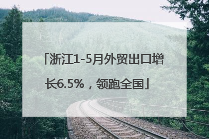 浙江1-5月外贸出口增长6.5%，领跑全国