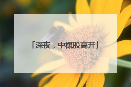 深夜，中概股高开