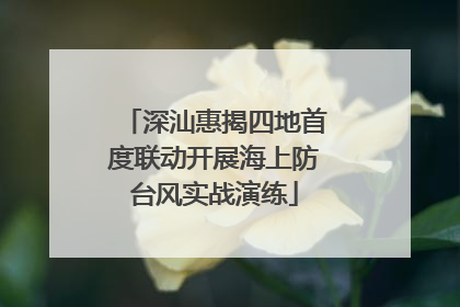 深汕惠揭四地首度联动开展海上防台风实战演练