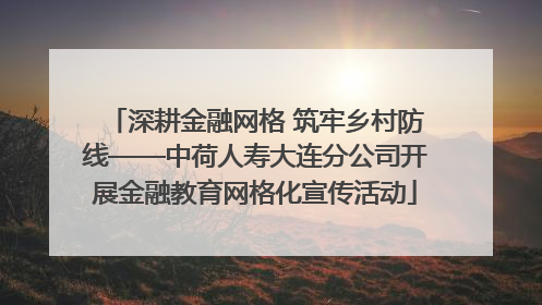 深耕金融网格 筑牢乡村防线——中荷人寿大连分公司开展金融教育网格化宣传活动