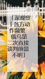深观察丨各方动作频繁  俄乌第二次直接谈判前景不明