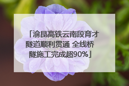 渝昆高铁云南段育才隧道顺利贯通 全线桥隧施工完成超90%