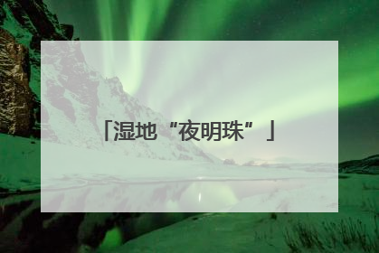 湿地“夜明珠”