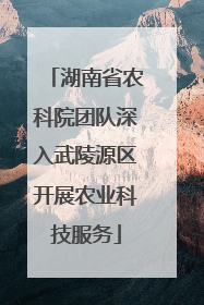 湖南省农科院团队深入武陵源区开展农业科技服务