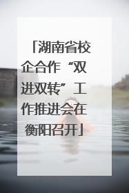 湖南省校企合作“双进双转”工作推进会在衡阳召开