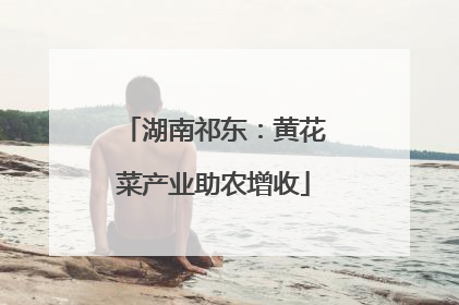湖南祁东：黄花菜产业助农增收