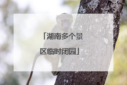 湖南多个景区临时闭园
