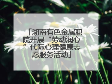 湖南有色金属职院开展“劳动润心”代际心理健康志愿服务活动