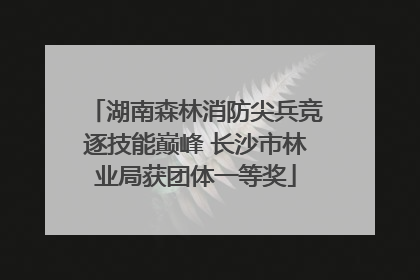 湖南森林消防尖兵竞逐技能巅峰 长沙市林业局获团体一等奖
