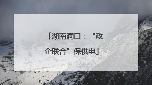 湖南洞口：“政企联合”保供电