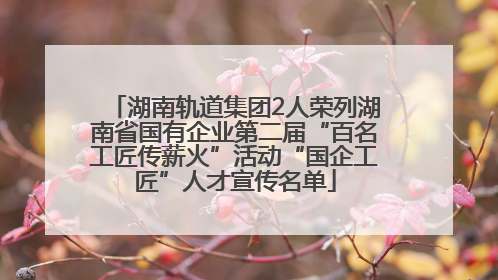 湖南轨道集团2人荣列湖南省国有企业第二届“百名工匠传薪火”活动“国企工匠”人才宣传名单