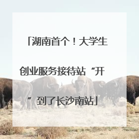 湖南首个！大学生创业服务接待站“开”到了长沙南站