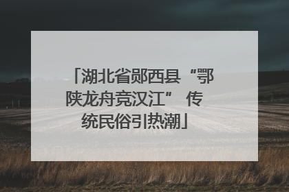 湖北省郧西县“鄂陕龙舟竞汉江” 传统民俗引热潮