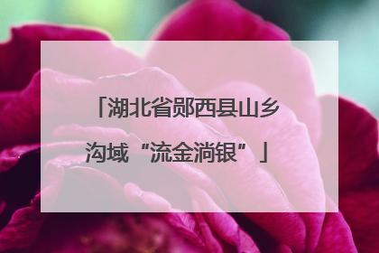 湖北省郧西县山乡沟域“流金淌银”