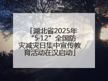 湖北省2025年“5·12”全国防灾减灾日集中宣传教育活动在汉启动
