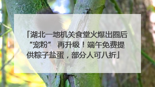 湖北一地机关食堂火爆出圈后“宠粉” 再升级！端午免费提供粽子盐蛋，部分人可八折