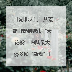 湖北天门：从荒郊田野到城市“天花板” 内陆最大侨乡换“新颜”