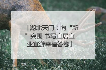 湖北天门：向“新”突围 书写宜居宜业宜游幸福答卷