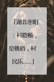 湖北枣阳：村路畅，皇桃俏，村民乐……