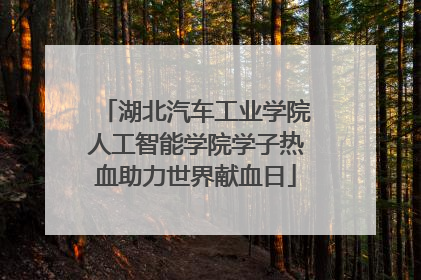 湖北汽车工业学院人工智能学院学子热血助力世界献血日