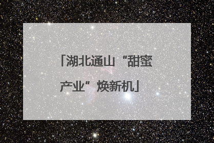 湖北通山“甜蜜产业”焕新机