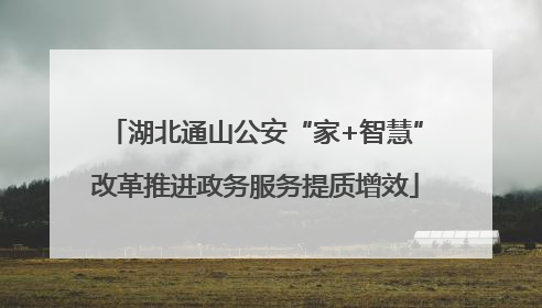 湖北通山公安“家+智慧”改革推进政务服务提质增效