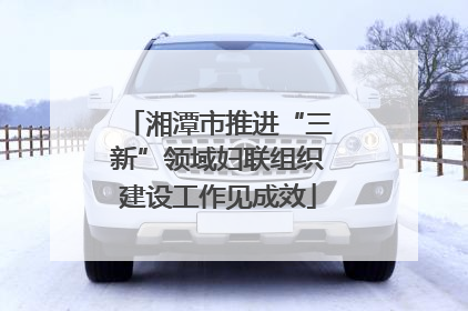 湘潭市推进“三新”领域妇联组织建设工作见成效