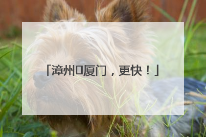 漳州⇋厦门，更快！