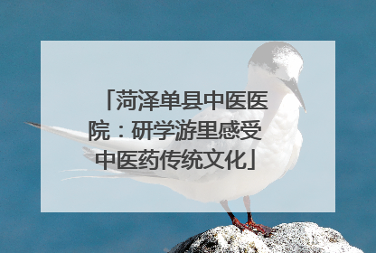 菏泽单县中医医院：研学游里感受中医药传统文化