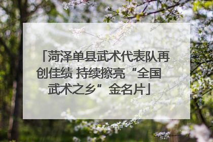 菏泽单县武术代表队再创佳绩 持续擦亮“全国武术之乡”金名片