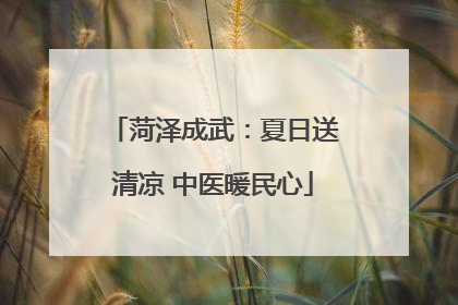 菏泽成武：夏日送清凉 中医暖民心