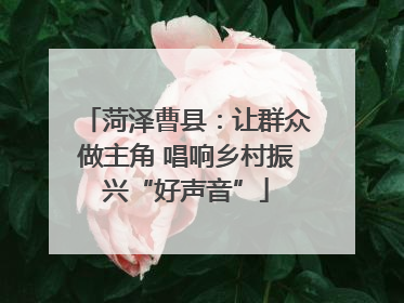 菏泽曹县：让群众做主角 唱响乡村振兴“好声音”
