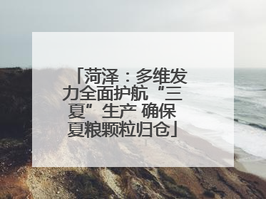 菏泽：多维发力全面护航“三夏”生产 确保夏粮颗粒归仓