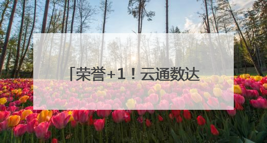 荣誉+1！云通数达入选浙商“AI+”TOP100企业