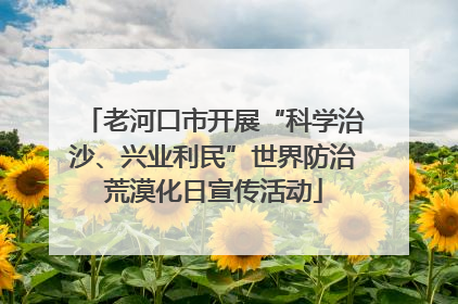 老河口市开展“科学治沙、兴业利民”世界防治荒漠化日宣传活动