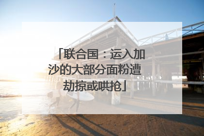 联合国：运入加沙的大部分面粉遭劫掠或哄抢