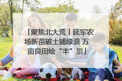 聚焦北大荒丨延军农场新苗破土铺绿浪 万亩良田绘“丰”景