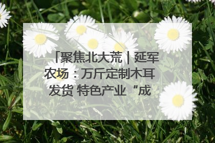 聚焦北大荒｜延军农场：万斤定制木耳发货 特色产业“成绩单”亮眼