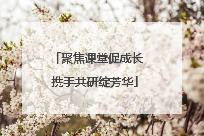 聚焦课堂促成长 携手共研绽芳华