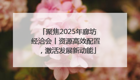 聚焦2025年廊坊经洽会丨资源高效配置，激活发展新动能