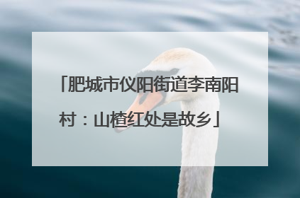 肥城市仪阳街道李南阳村：山楂红处是故乡