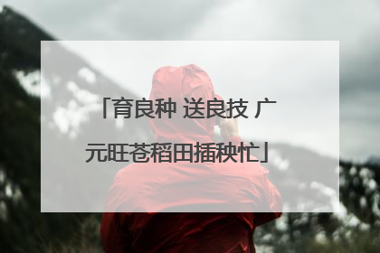 育良种 送良技 广元旺苍稻田插秧忙