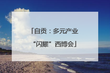 自贡：多元产业“闪耀”西博会