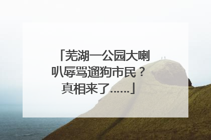 芜湖一公园大喇叭辱骂遛狗市民？真相来了……