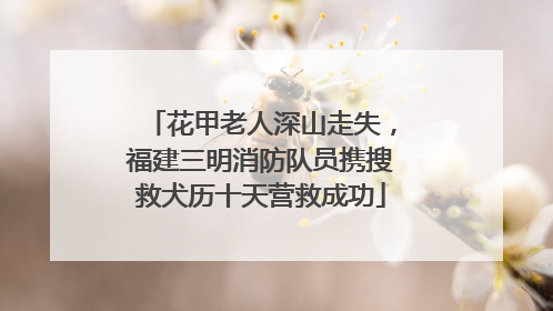 花甲老人深山走失，福建三明消防队员携搜救犬历十天营救成功