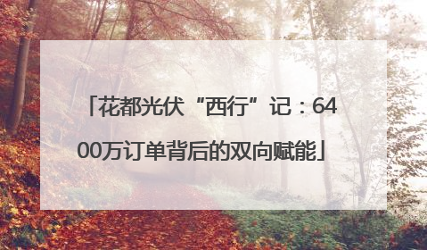 花都光伏“西行”记：6400万订单背后的双向赋能