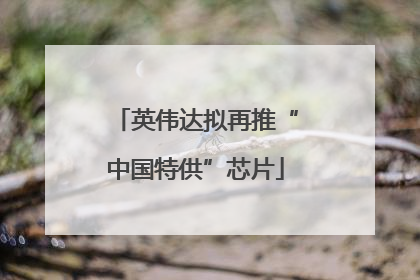 英伟达拟再推“中国特供”芯片